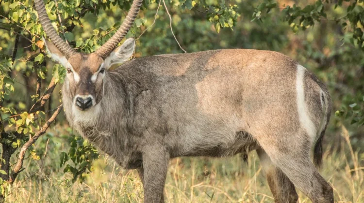 HR salary guide for South Africa showing potential earnings.